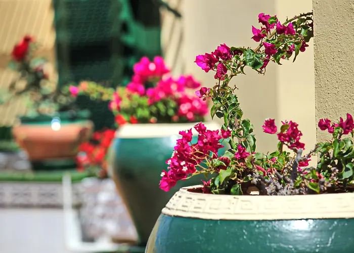 Апарт-отель Barranco Chic! By Alegria Плая-де-лас-Америкас